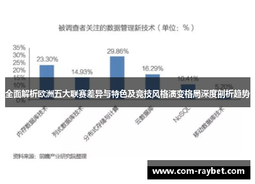 全面解析欧洲五大联赛差异与特色及竞技风格演变格局深度剖析趋势 全面解析欧洲五大联赛差异与特色及竞技风格演变格局深度剖析趋势