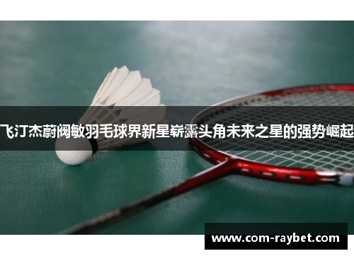 飞汀杰蔚阀敏羽毛球界新星崭露头角未来之星的强势崛起 飞汀杰蔚阀敏羽毛球界新星崭露头角未来之星的强势崛起