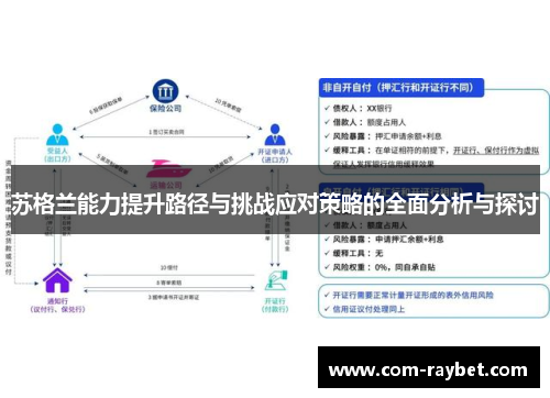 苏格兰能力提升路径与挑战应对策略的全面分析与探讨