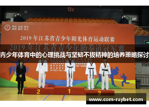 青少年体育中的心理挑战与坚韧不拔精神的培养策略探讨