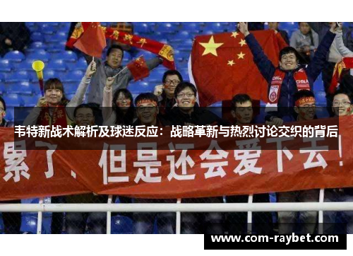 韦特新战术解析及球迷反应：战略革新与热烈讨论交织的背后
