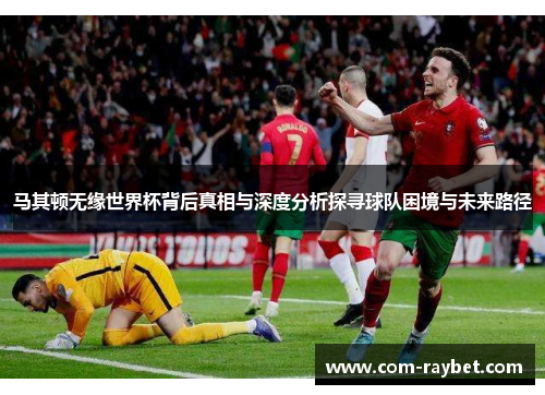 马其顿无缘世界杯背后真相与深度分析探寻球队困境与未来路径