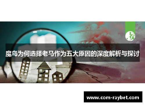 魔鸟为何选择老马作为五大原因的深度解析与探讨