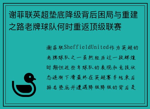 谢菲联英超垫底降级背后困局与重建之路老牌球队何时重返顶级联赛